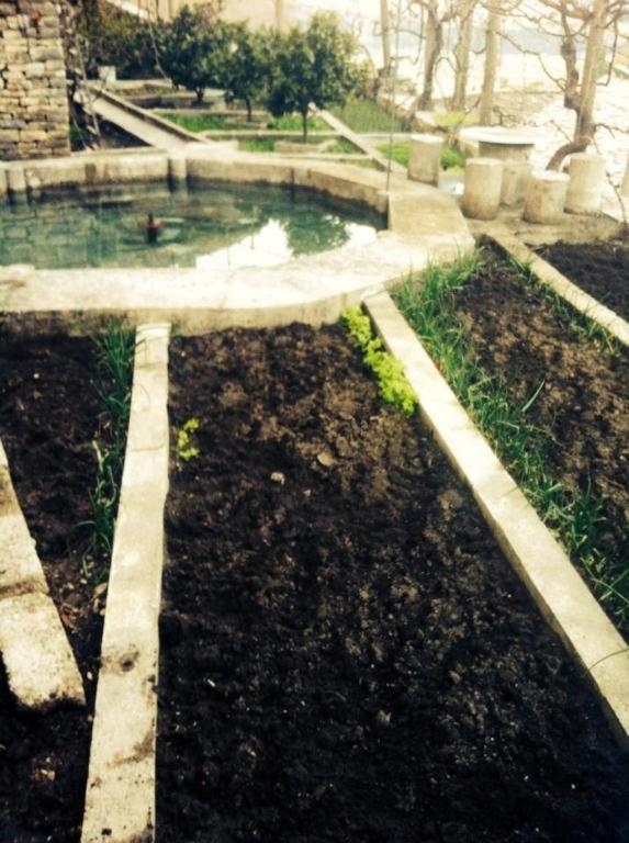 Ruols Guesthouse Gjirokaster Bagian luar foto